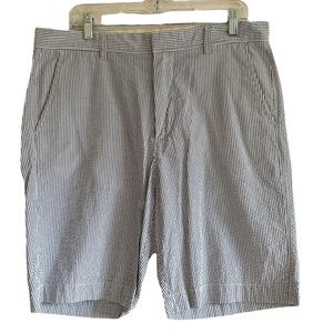 J. Crew Factory Mens Size 35 Blue & White Stripes Shorts